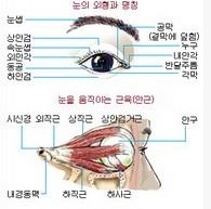 https://inlasik.co.kr/main/data/file/review/20110910155446977.jpg